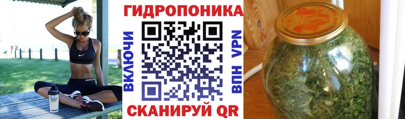 omg зеркало  купить наркоту  Нелидово  Каннабис семена 